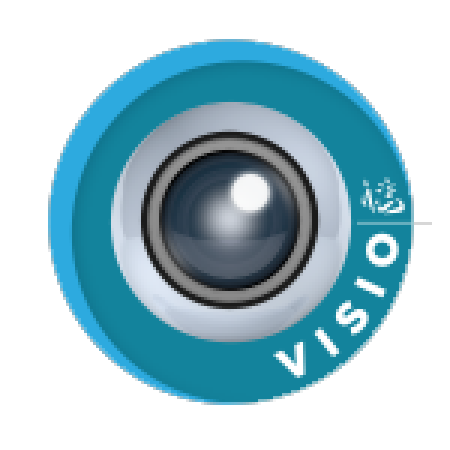 Visioconférence professionnelle